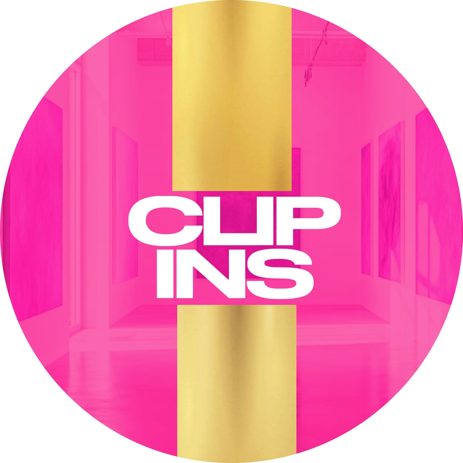 CLIP INS
